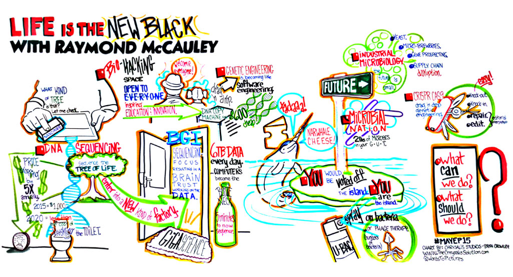 Singularity University Executive Program at NASA Moffet Field - May 2015 Mural 5