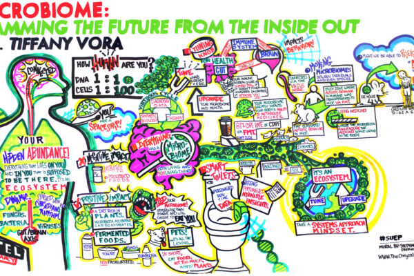 The Microbiome - Programming the Future from the Inside Out Mural